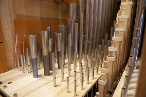Innenleben der neuen Orgel in St. Ursula, Köln | Foto: Anke Westermann