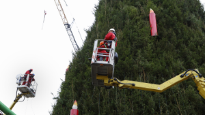 Höchster Weihnachtsbaum der Welt | Foto: Anke Westermann