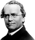 Gregor Mendel